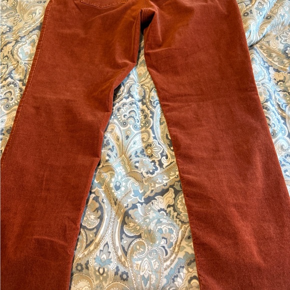 Chico's‎ Terracotta Straight Leg Pants - Picture 4 of 6